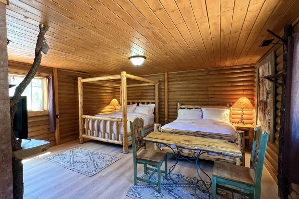 480999218_950047330585316_6958762838652931284_n