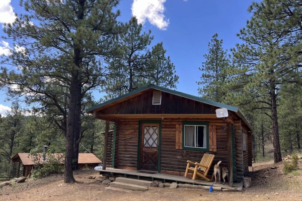 481109949_950047700585279_1328654466444985103_n