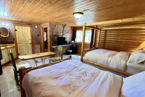 481204949_950047273918655_7583917089789175722_n