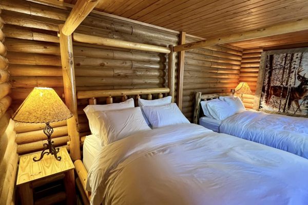 481900148_950047270585322_496864751996497824_n